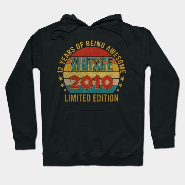 12 Year of being Awesome 2010 12th Bday Hoodie by mahmuq